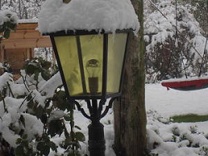 Bild 46 aus  Krösshof Rosen-Residenz