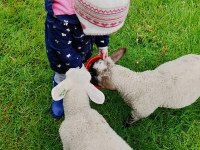 Bild 14 aus  Hof Janssen