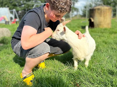 Bild 40 aus  Ponyhof Goldenstein