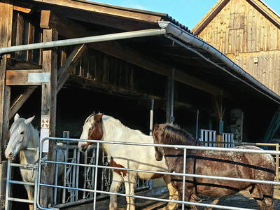 Bild 11 aus  Hübner-Wagner