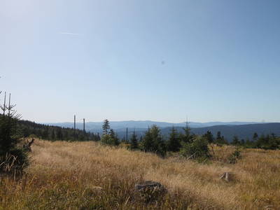 Bild 33 aus  Arber Lofts