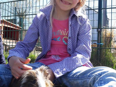 Bild 40 aus  Ferienhof Rauert