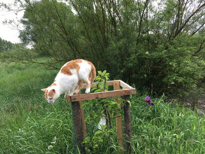 Bild 15 aus  LandSelection Die Schenkenau