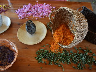 Bild 8 aus  Forstbauer am Millstätter Hochplateau