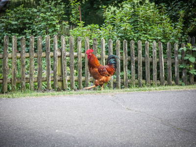 Bild 17 aus  Imkershof