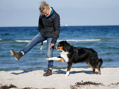 Bild 51 aus  Gut Friederikenhof