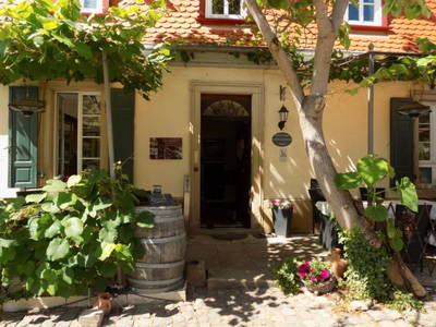 Bild 15 aus  Wein- und Feriengut Altes Landhaus, Barbara Reibold-Niederauer