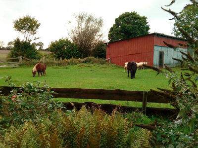 Bild 21 aus  Ahoi Ostsee:  Bauernhof und OstseeUrlaub - Ferienhof Becker in Dahme