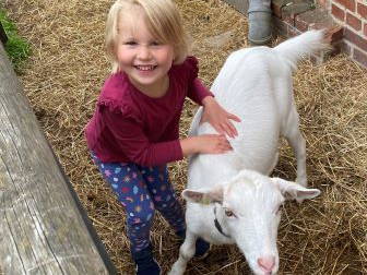 Bild 14 aus  Ferienhof Schlünzen