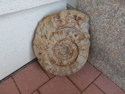 Bild 21 aus  Ferienwohnung Schneckenhaus