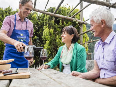 Bild 22 aus  Bachmannhof