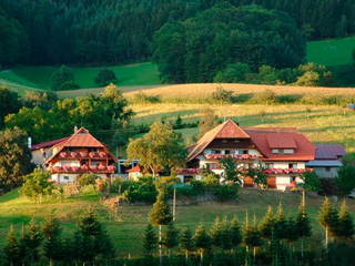 Vorderer Klausmannshof aus Zell (Harmersbach)