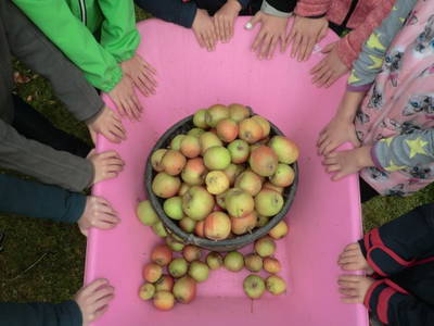 Bild 8 aus  Ferienhof Rauert