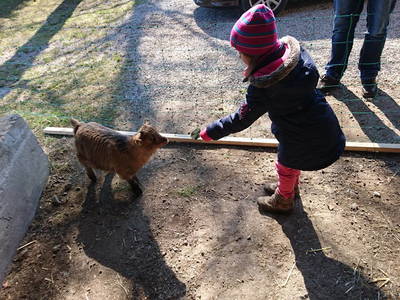 Bild 28 aus  Keilhof