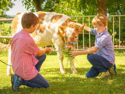 Bild 14 aus  Ablingerhof