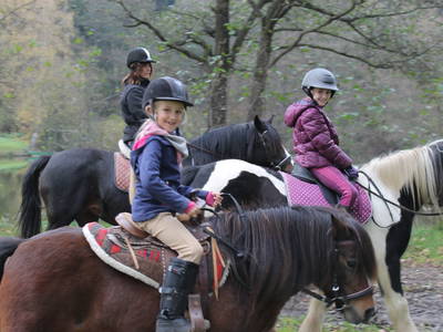 Bild 20 aus  Schneidmühle