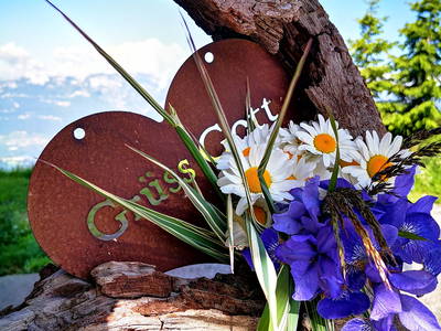 Bild 3 aus  Wastlhof  Urlaub auf dem Bauernhof