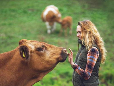 Bild 2 aus  Waldbachhof