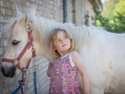Bild 19 aus  LINDENHOF- BAUERNHOFURLAUB / OSTSEENÄHE