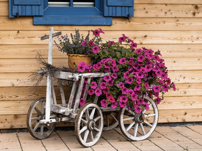 Bild 10 aus  Ferienhof Jakob, Rohrhof