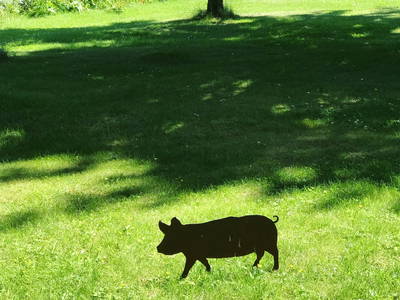 Bild 17 aus  Tannenhof Bornholdt