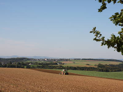 Bild 31 aus  LandSelection Grieshof