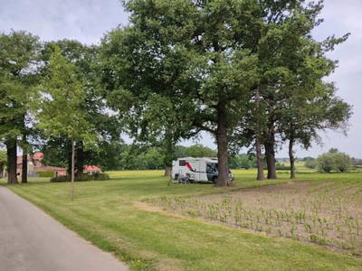 Bild 2 aus  Stellplatz an den Eichen