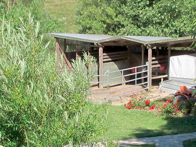 Bild 8 aus  An der See.de