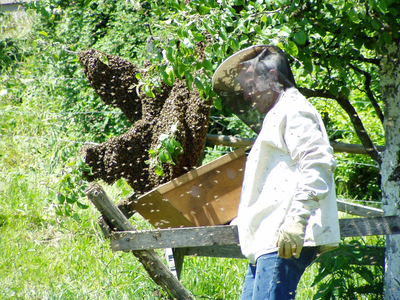 Bild 9 aus  Unterfürberg-Hof