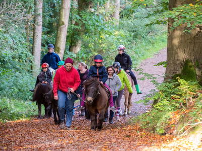 Bild 8 aus  LandSelection Ferienhof Radlandsichten