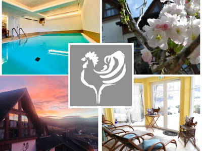 Bild 17 aus  Goldener Hahn - Hyggeliges Aparthotel mit Frühstücksbuffet, Pool & Sauna