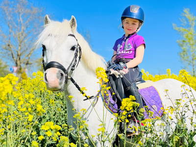 Bild 3 aus  Lindenhof