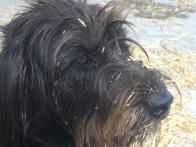 Bild 26 aus  Ferienhof  am Hennesee