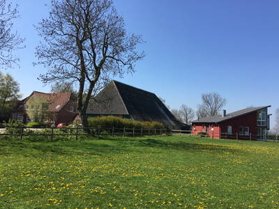 Hofkoppel Anfang Mai.