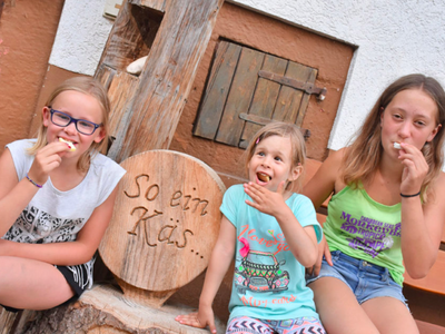 Bild 44 aus  Ramsteinerhof