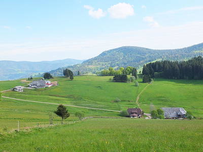 Bild 23 aus  Willkommen bei Familie Gutmann  auf dem Itzenwaldhof