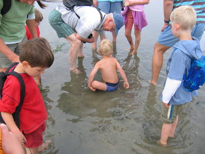 Bild 9 aus  Ferienhof Kardel