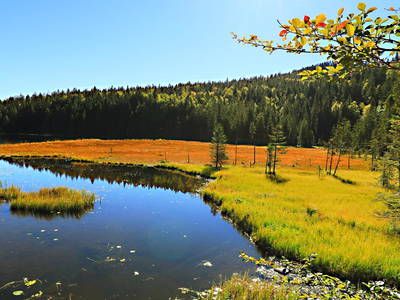 Bild 32 aus  Paulas Bauernhof im Bayerischen Wald