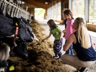 Bild 62 aus  LandSelection Ferienhof Zur Hasenkammer
