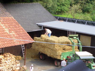 Bild 8 aus  Hof Carmshausen & Pension Hotze