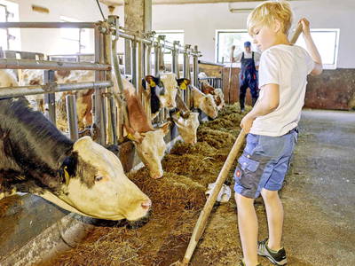 Bild 16 aus  Berndlhof