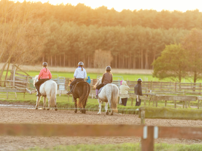 Bild 2 aus  Reiter- und Erlebnisbauernhof Groß Briesen