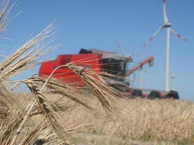 Getreideernte im August.