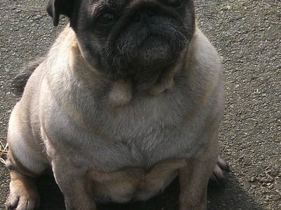 Bild 12 aus  Katrin's Ferienhof