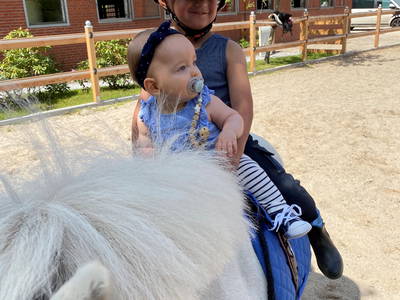 Bild 5 aus  Lindenhof