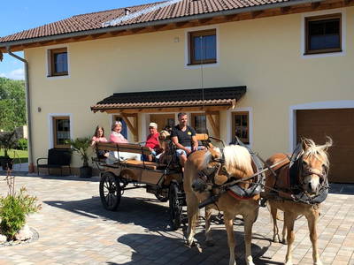 Bild 10 aus  Reiherhof