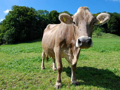 Bild 9 aus  Weber´s Ferienhof