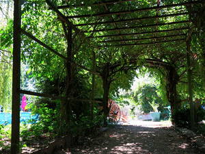 Bild 7 aus  Maison Cheval Blanc