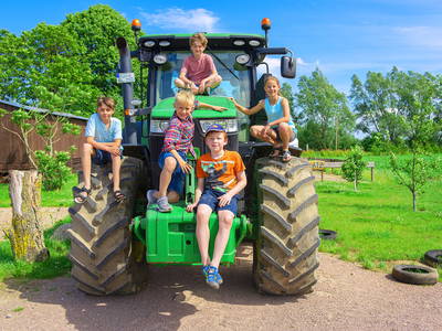 Bild 3 aus  Bauer Lange