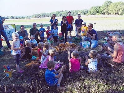 Bild 11 aus  Hof Höpen